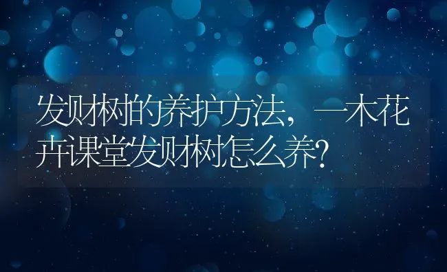 发财树的养护方法,一木花卉课堂发财树怎么养？ | 养殖常见问题