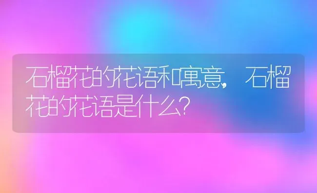 石榴花的花语和寓意,石榴花的花语是什么？ | 养殖常见问题