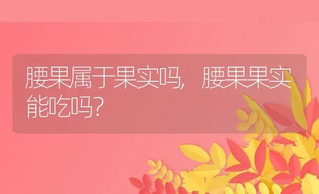 腰果属于果实吗,腰果果实能吃吗？ | 养殖常见问题