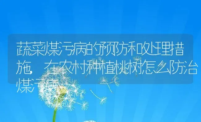 怎么理解修身齐家治国平天下的意思,修身齐家治国平天下是什么意思？ | 养殖常见问题