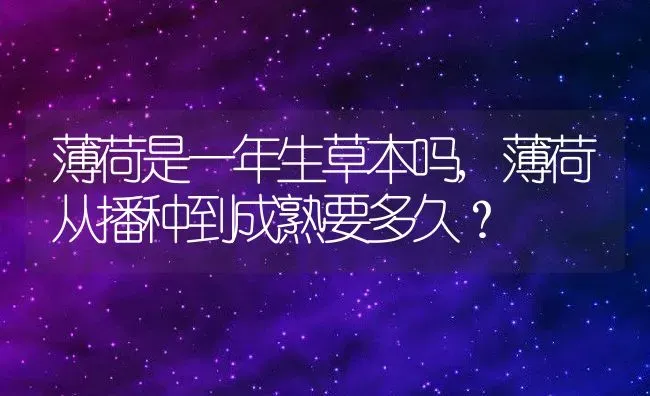 薄荷是一年生草本吗,薄荷从播种到成熟要多久？ | 养殖常见问题