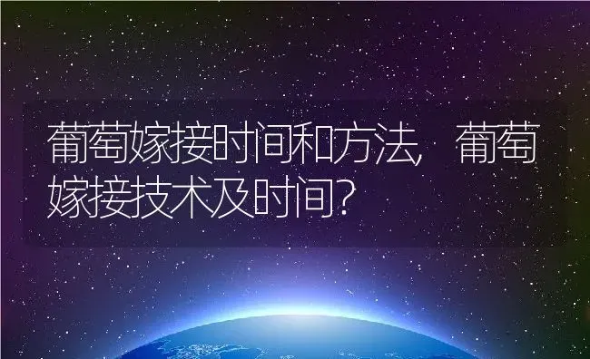 葡萄嫁接时间和方法,葡萄嫁接技术及时间？ | 养殖常见问题