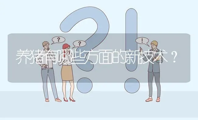 养猪有哪些方面的新技术? | 养殖问题解答