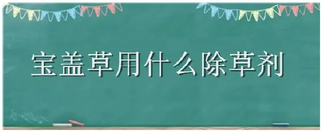 宝盖草用什么除草剂 | 农业常识