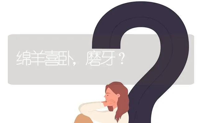 绵羊喜卧,磨牙? | 养殖问题解答