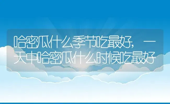 哈密瓜什么季节吃最好,一天中哈密瓜什么时候吃最好 | 养殖常见问题