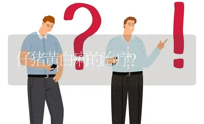 仔猪黄白痢的治疗? | 养殖问题解答