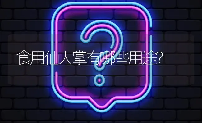 食用仙人掌有哪些用途? | 养殖问题解答
