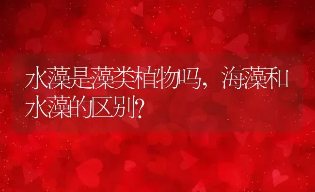 水藻是藻类植物吗,海藻和水藻的区别？ | 养殖常见问题