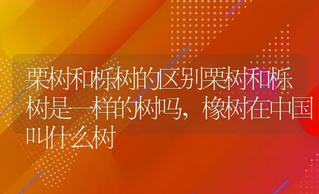 栗树和栎树的区别栗树和栎树是一样的树吗,橡树在中国叫什么树 | 养殖常见问题