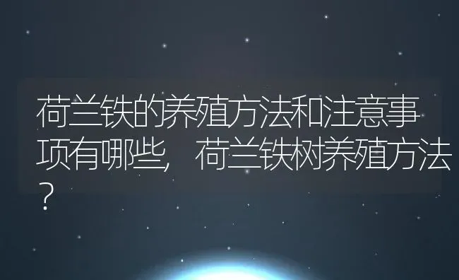 荷兰铁的养殖方法和注意事项有哪些,荷兰铁树养殖方法？ | 养殖常见问题