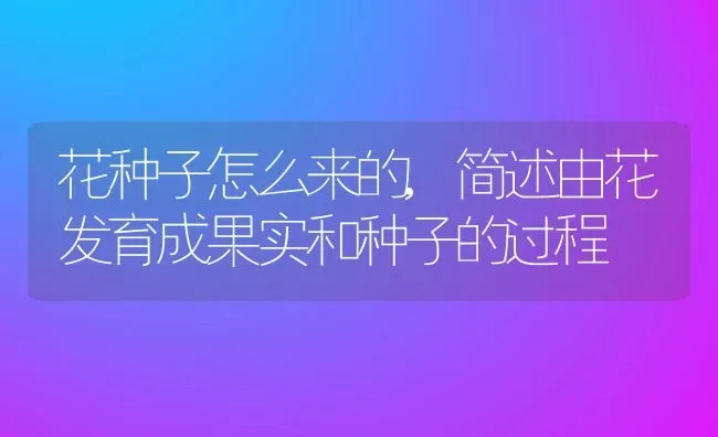 花种子怎么来的,简述由花发育成果实和种子的过程 | 养殖常见问题