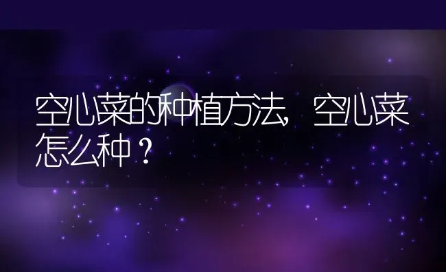 空心菜的种植方法,空心菜怎么种？ | 养殖常见问题