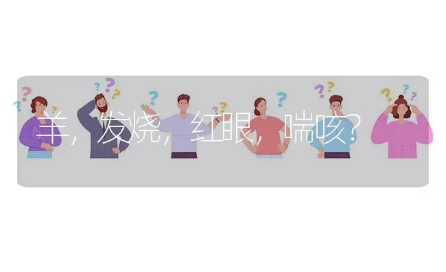 羊,发烧,红眼,喘咳? | 养殖问题解答