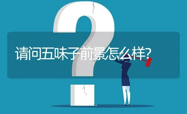 请问五味子前景怎么样? | 养殖问题解答