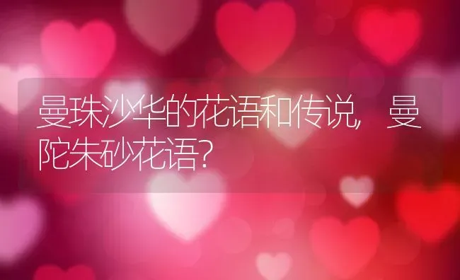 曼珠沙华的花语和传说,曼陀朱砂花语？ | 养殖常见问题