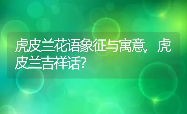 虎皮兰花语象征与寓意,虎皮兰吉祥话？ | 养殖常见问题