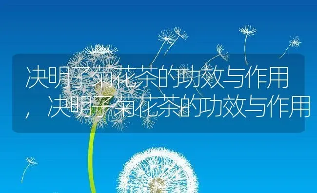 决明子菊花茶的功效与作用,决明子菊花茶的功效与作用 | 养殖常见问题