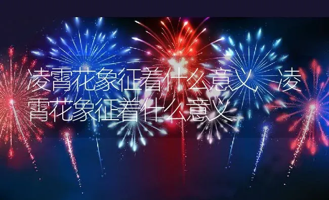凌霄花象征着什么意义,凌霄花象征着什么意义 | 养殖常见问题