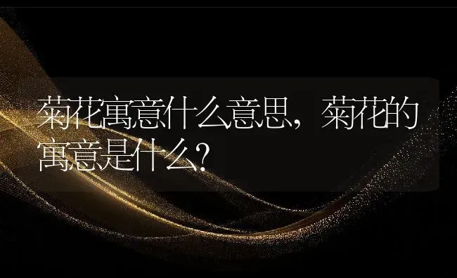 菊花寓意什么意思,菊花的寓意是什么？ | 养殖常见问题