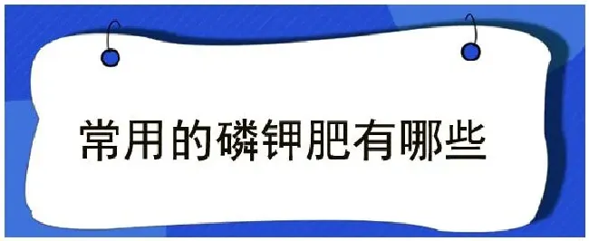 常用的磷钾肥有哪些 | 三农答疑