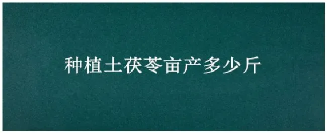 种植土茯苓亩产多少斤 | 三农问答