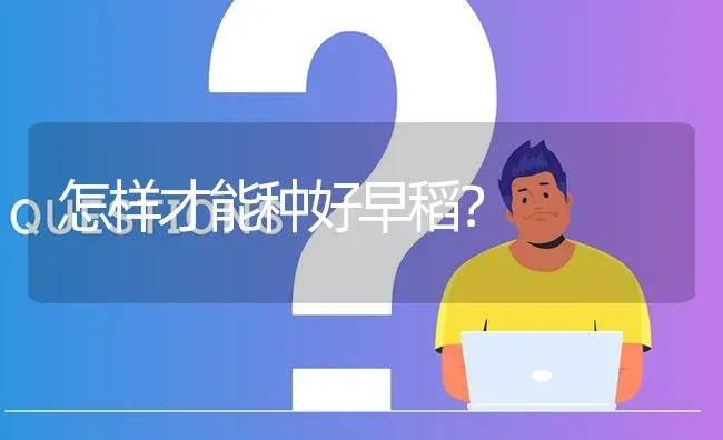 怎样才能种好早稻? | 养殖问题解答