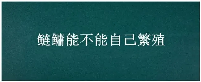 鲢鳙能不能自己繁殖 | 三农答疑