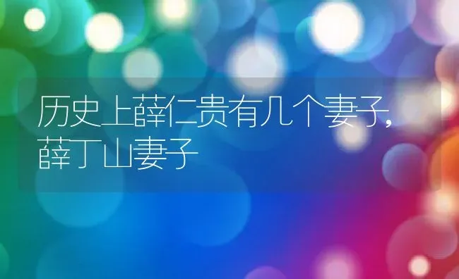 历史上薛仁贵有几个妻子,薛丁山妻子 | 养殖常见问题