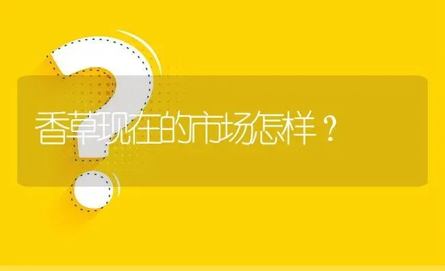 香草现在的市场怎样? | 养殖问题解答