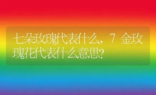 七朵玫瑰代表什么,7金玫瑰花代表什么意思？ | 养殖常见问题