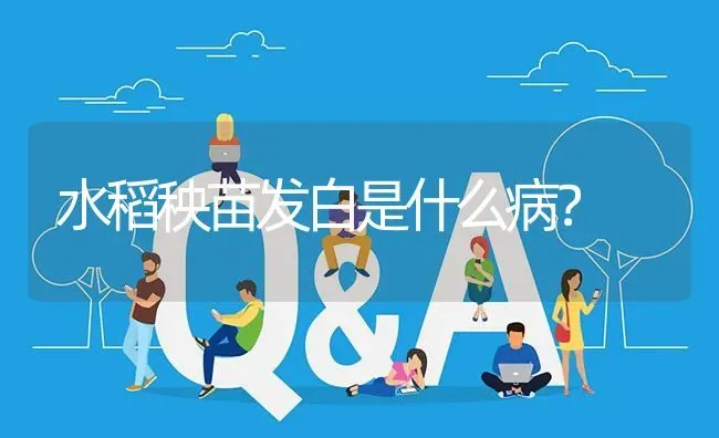 水稻秧苗发白是什么病? | 养殖问题解答