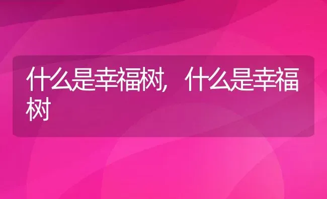 什么是幸福树,什么是幸福树 | 养殖常见问题