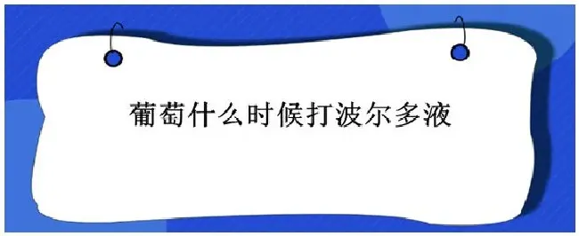 葡萄什么时候打波尔多液 | 科普知识
