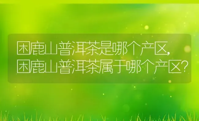 困鹿山普洱茶是哪个产区,困鹿山普洱茶属于哪个产区？ | 养殖常见问题