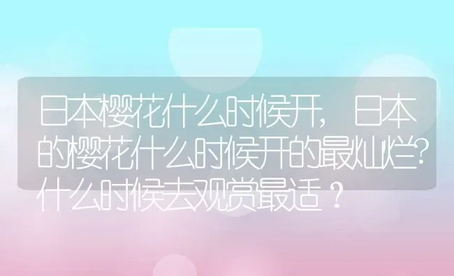 日本樱花什么时候开,日本的樱花什么时候开的最灿烂?什么时候去观赏最适？ | 养殖常见问题