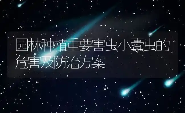 园林种植重要害虫小蠹虫的危害及防治方案 | 养殖常见问题