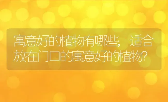 寓意好的植物有哪些,适合放在门口的寓意好的植物？ | 养殖常见问题