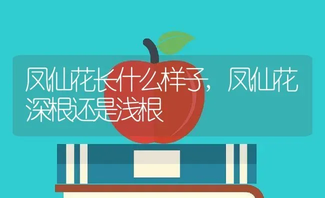 凤仙花长什么样子,凤仙花深根还是浅根 | 养殖常见问题