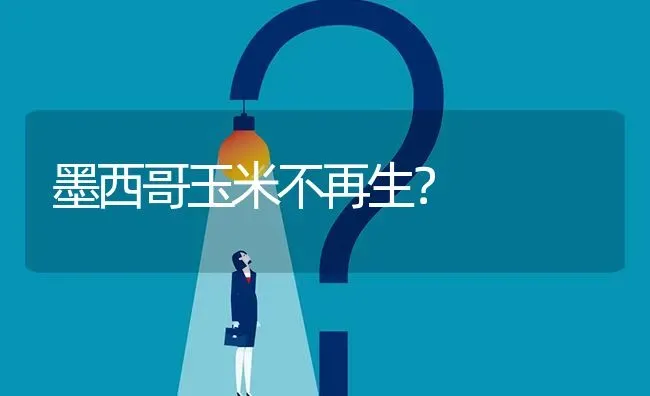 墨西哥玉米不再生? | 养殖问题解答