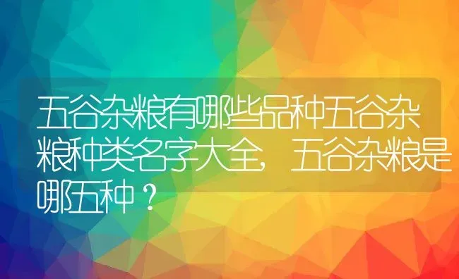 五谷杂粮有哪些品种五谷杂粮种类名字大全,五谷杂粮是哪五种？ | 养殖常见问题