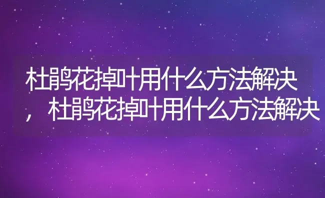 杜鹃花掉叶用什么方法解决,杜鹃花掉叶用什么方法解决 | 养殖常见问题