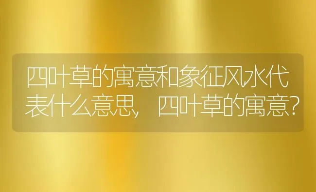 四叶草的寓意和象征风水代表什么意思,四叶草的寓意？ | 养殖常见问题