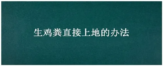 生鸡粪直接上地的办法 | 三农答疑