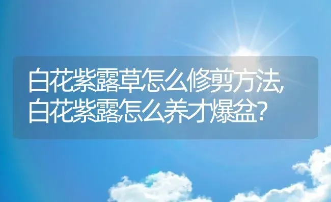 白花紫露草怎么修剪方法,白花紫露怎么养才爆盆？ | 养殖常见问题