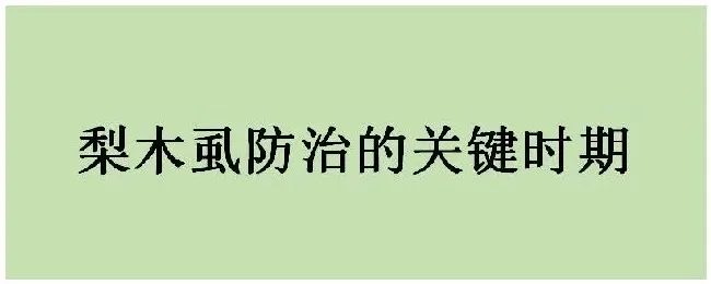 梨木虱防治的关键时期 | 农业常识