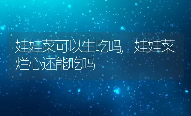 鸭儿芹的养殖方法,松茸饭正宗做法？ | 养殖常见问题