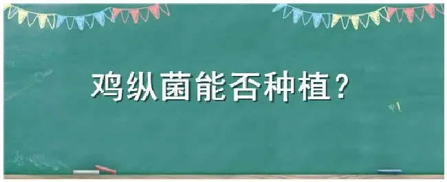 鸡纵菌能否种植 | 农业常识