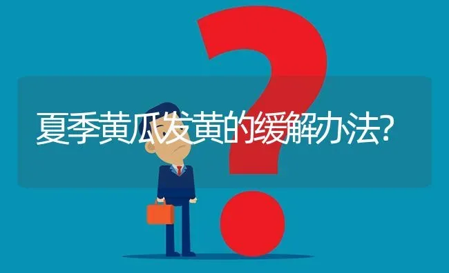 夏季黄瓜发黄的缓解办法? | 养殖问题解答