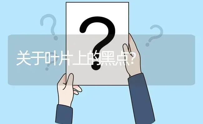 关于叶片上的黑点? | 养殖问题解答